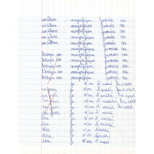 Corrections de dictées