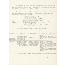 Exam d'entrée en P.E.G.C.