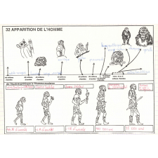 Sciences naturelles