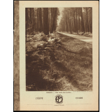 Cahier vierge : Parchemin Emeraude