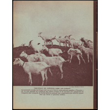 Cahier vierge : Helios