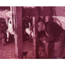 Métiers de tradition en Périgord-Agenais