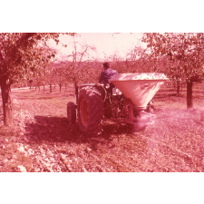 Polyculture et monoculture