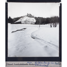 Am Silberberg im Bärental