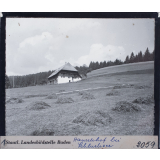Hanselehof bei Schluchsee