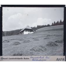 Hanselehof bei Schluchsee