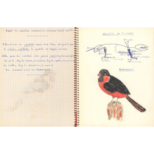 Cahier de sciences naturelles - Zoologie - Botanique