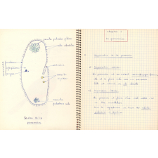 Cahier de sciences naturelles - Zoologie - Botanique