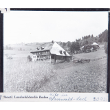 Höfe in Blasiwald-Loch