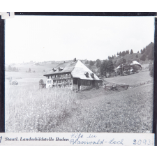 Höfe in Blasiwald-Loch