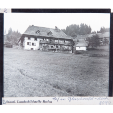 Hof in Blasiwald-Loch