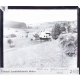 Höfe in Blasiwald-Loch