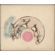 Planche d'anamorphose :  éléphant