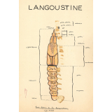 Langoustine