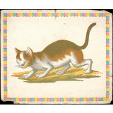 Jeu de piquage : chat