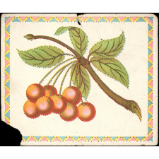 Jeu de piquage : branche : cerisier