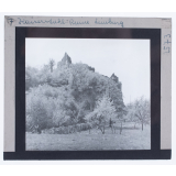 Kaiserstuhl : Ruine Limburg