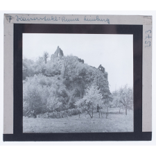 Kaiserstuhl : Ruine Limburg