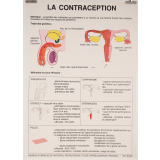 La contraception