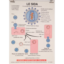 Le SIDA
