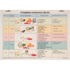 Vitamines hydrosolubles