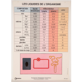 Les liquides de l'organisme