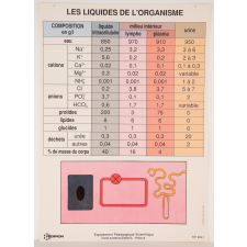 Les liquides de l'organisme
