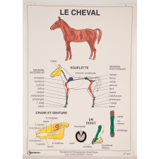 Le cheval