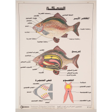 Le poisson