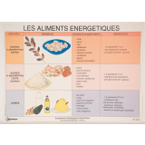 Les aliments énergétiques