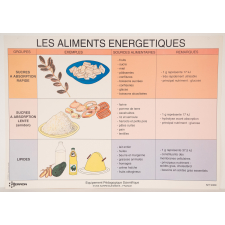 Les aliments énergétiques