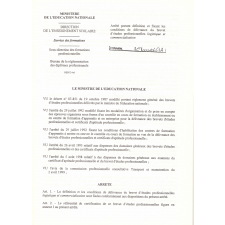 Brevet d'études professionnelles. Logistique et commercialisation. Arrêté du 11 juillet 2000 et annexes.