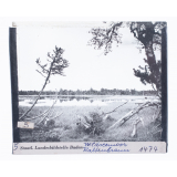 Wildseemoor Kaltenbronn