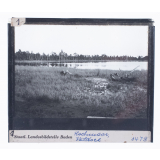 Hochmoor Wildsee