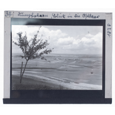Sumpfohren, Blick in die Ostbaar