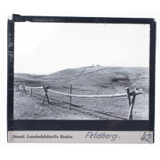 Feldberg