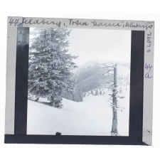 Feldberg, Toter Mann, Schwarzw.
