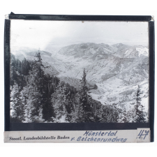 Münstertal v. Belchenrundweg = Münstertal vue depuis le sentier du Belchen