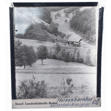 Steinenbachtal : Seitental v. Kinzigtal = Vallée de Steinenbach : Vallée latérale de la Vallée de la Kinzig
