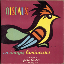 Oiseaux en images lumineuses.