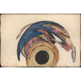 Planche d'anamorphose : homme cherchant à embrasser une femme