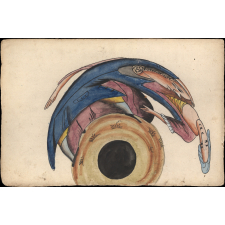Planche d'anamorphose : homme cherchant à embrasser une femme