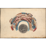 Planche d'anamorphose : couronnement d'épines