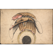 Planche d'anamorphose :  moine ou pèlerin