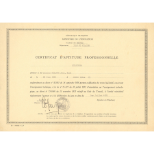 Diplômes. Brevet de nageur scolaire. Epreuves utilitaires de natation. Brevet d'études du premier cycle du second degré. Certificat d'aptitude professionnelle. 