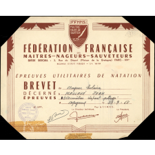 Diplômes. Brevet de nageur scolaire. Epreuves utilitaires de natation. Brevet d'études du premier cycle du second degré. Certificat d'aptitude professionnelle. 