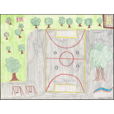 Dessin sur la renaturation de la cour d'école