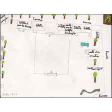 Dessin sur la renaturation de la cour d'école
