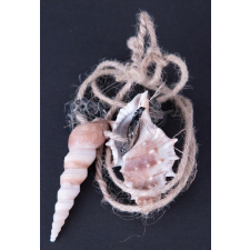 Collier avec deux coquillages