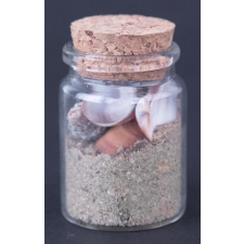 Pot avec sable et coquillages